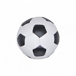 Soccer Balls